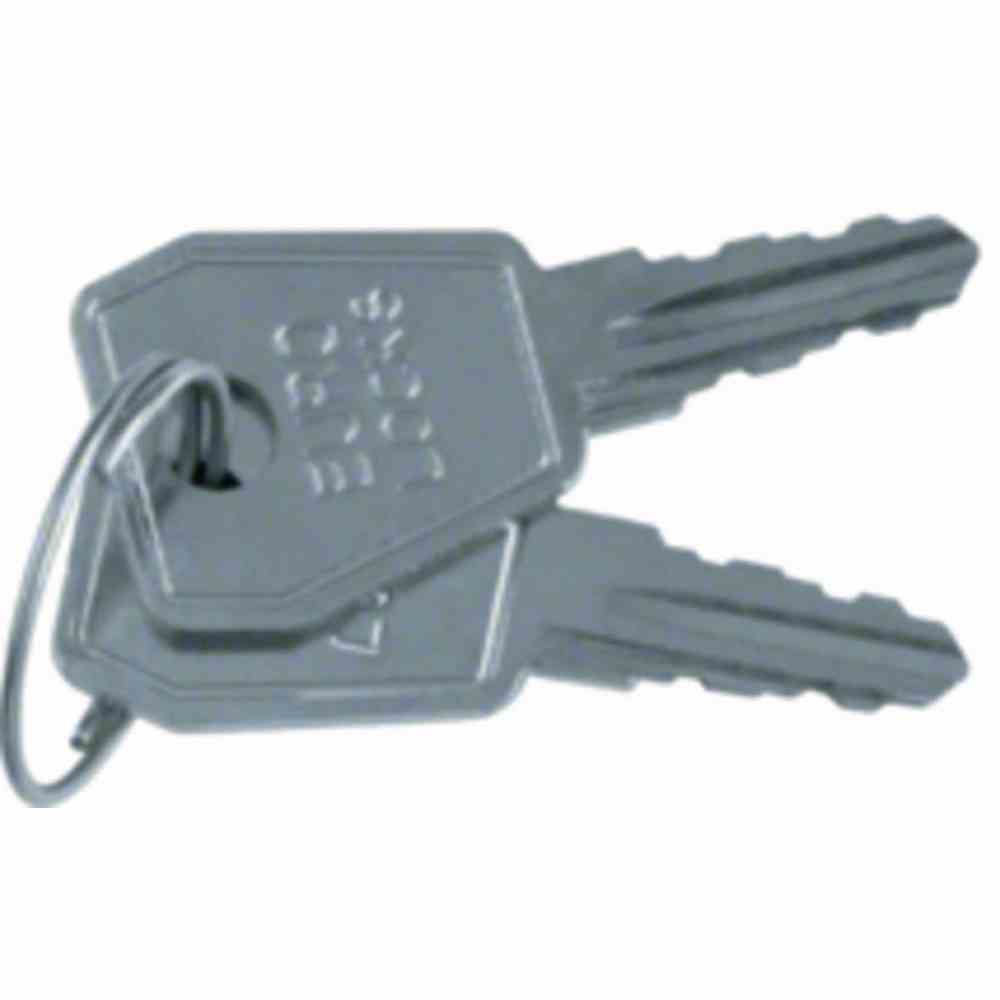 BERKER 187807 BERKER Schlüssel Nr. 807 zu 4763xx, 4212xx, 476905